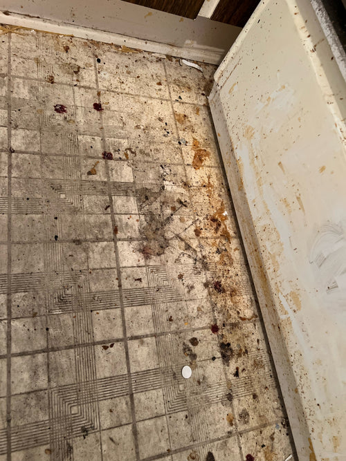 Deep Cleaning Service Apartment 1 Bedroom - 1 Bathroom