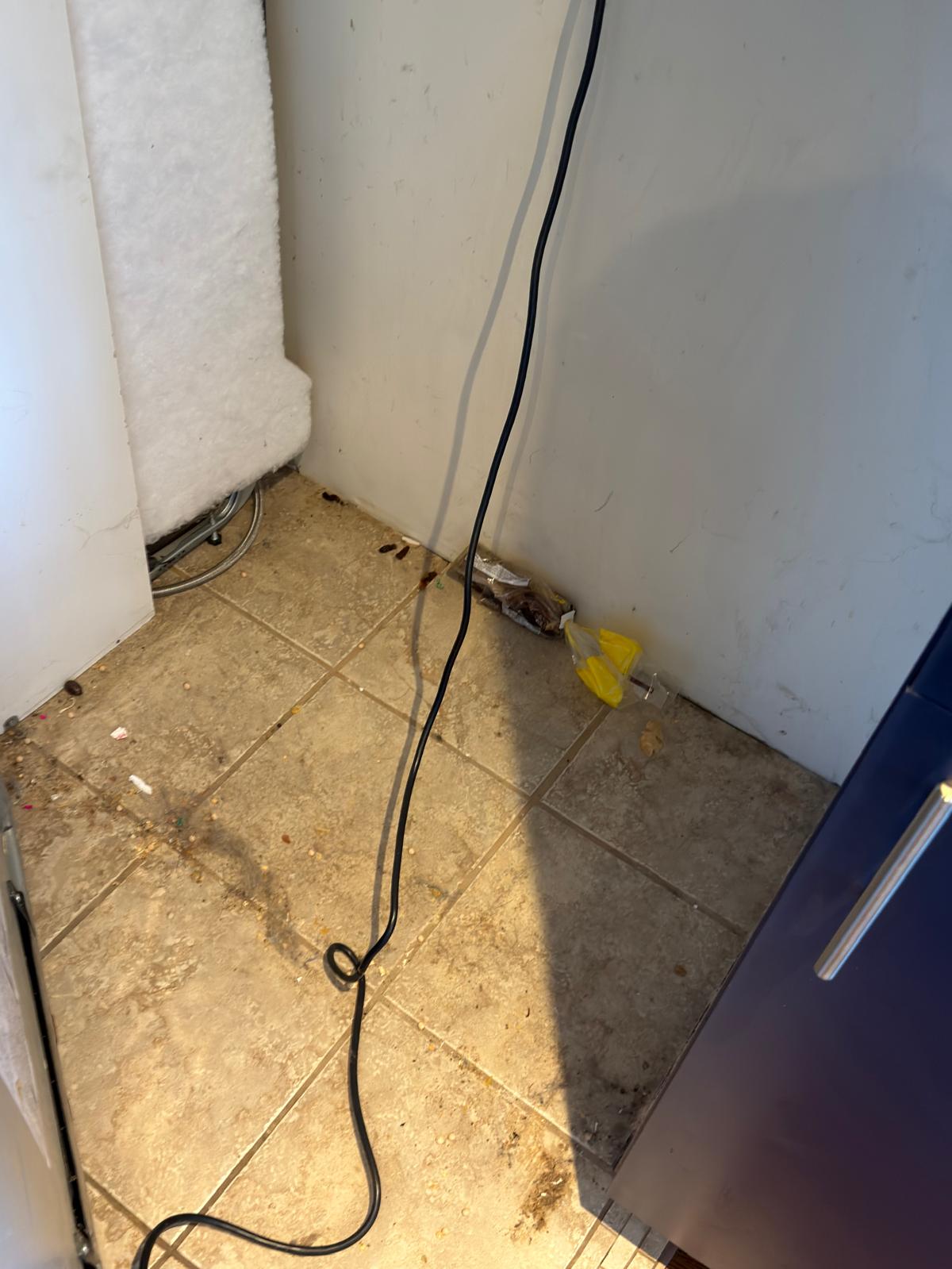 Deep Cleaning Service Apartment 1 Bedroom - 1 Bathroom